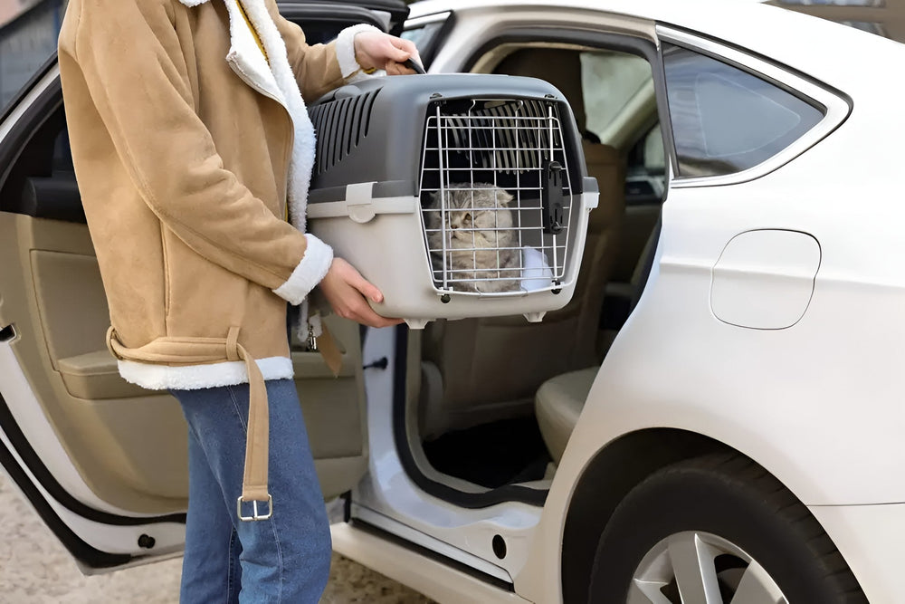 Convenient Pet Carriers For Travel