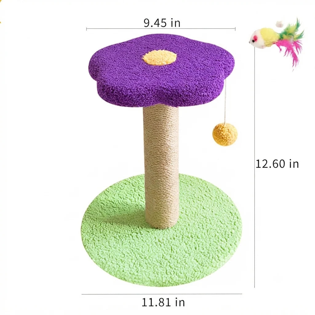 Pet Claw Grinding Teaser Toy