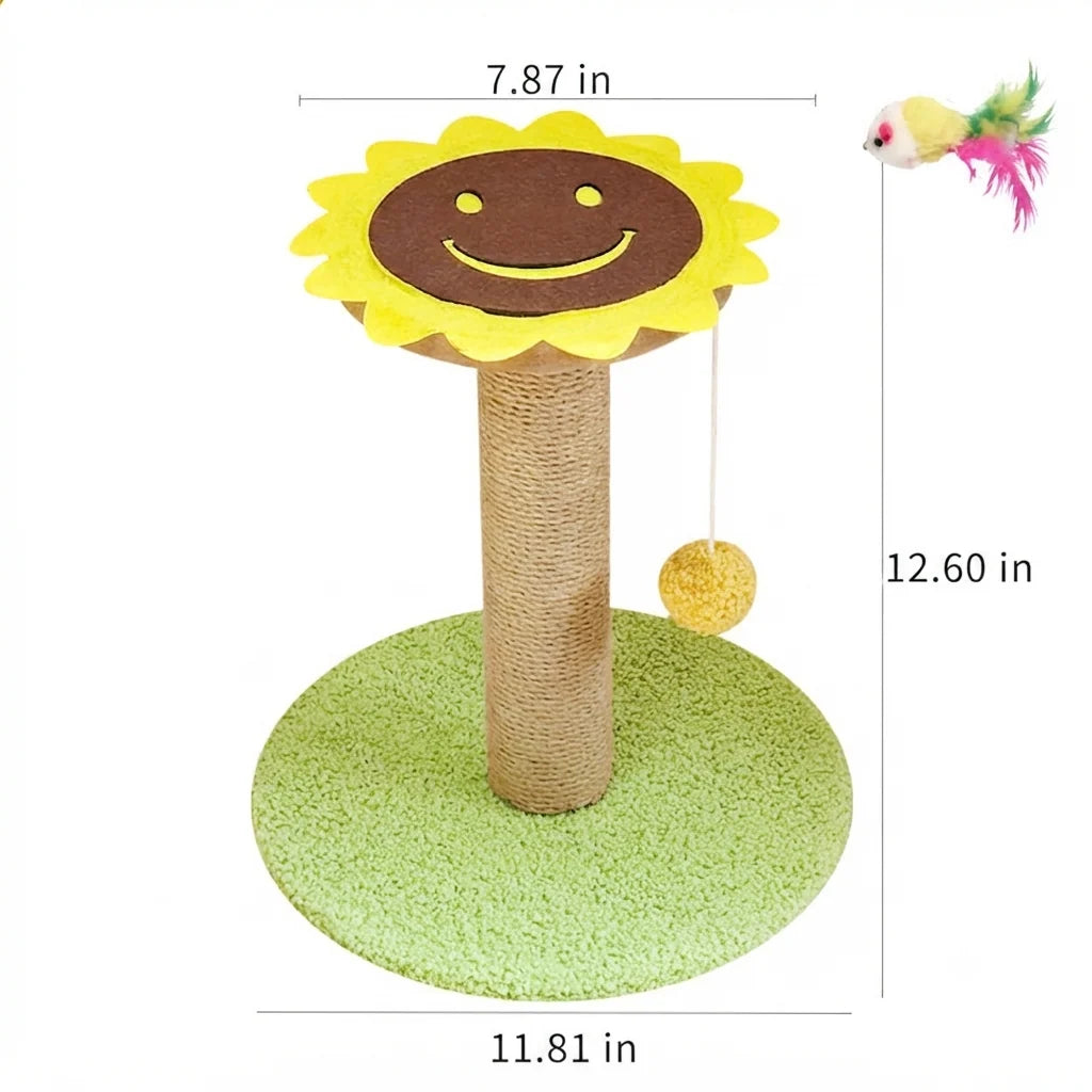 Pet Claw Grinding Teaser Toy