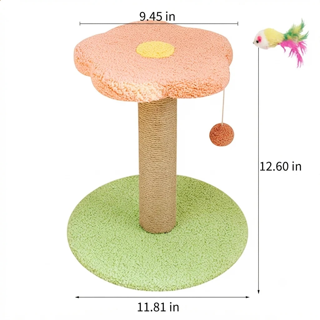Pet Claw Grinding Teaser Toy